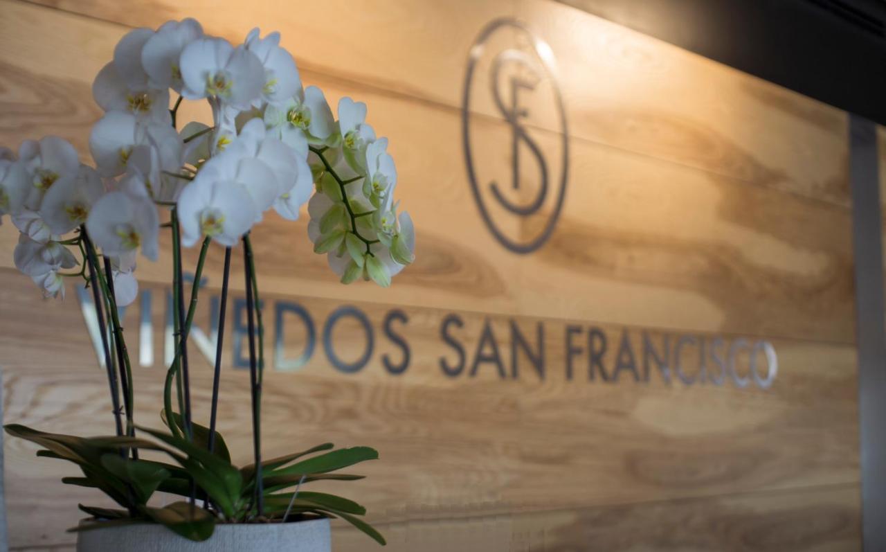 Vinedos San Francisco Hotel Alcocer Exterior photo